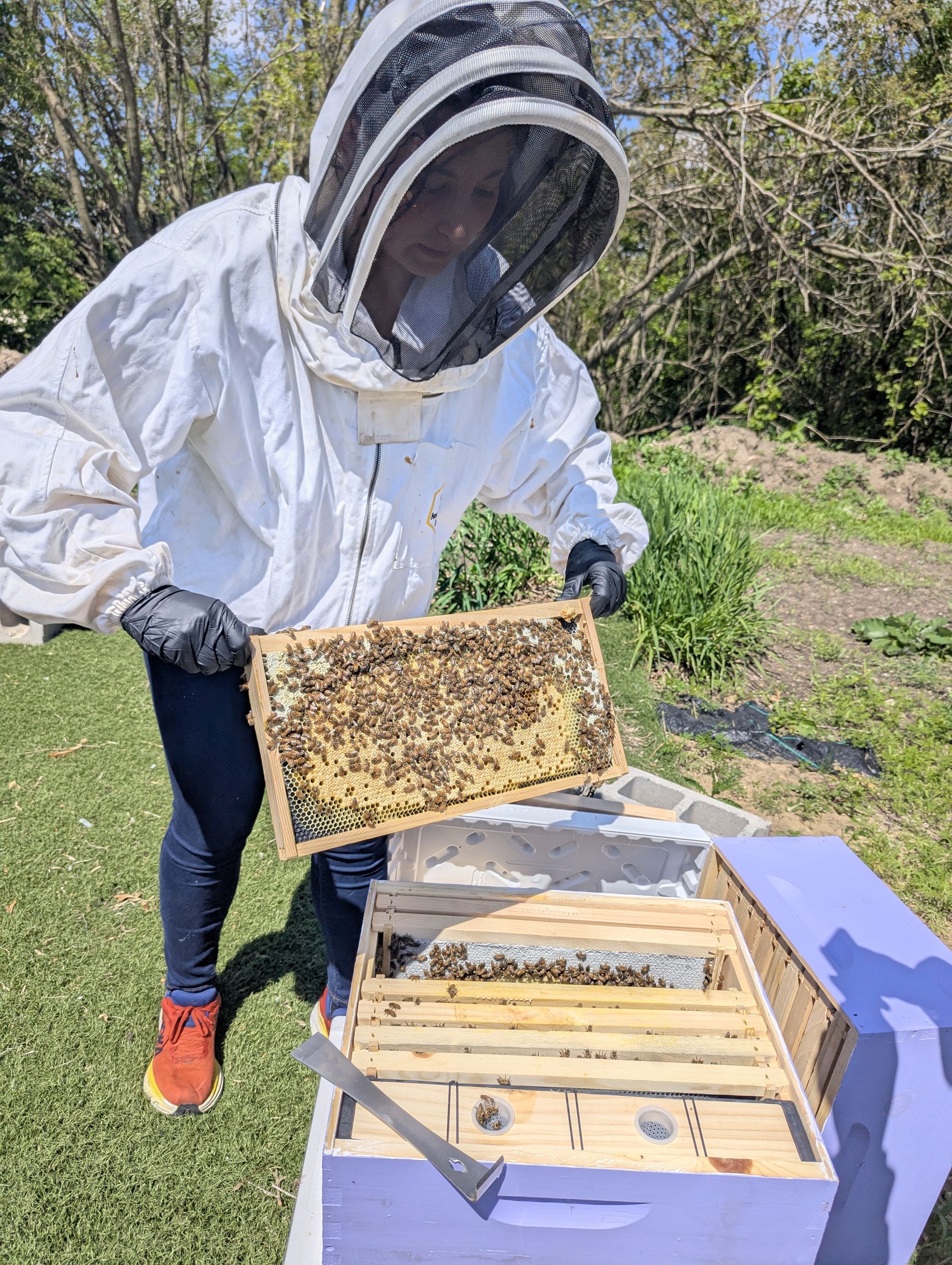 Hannah Working The Hives
