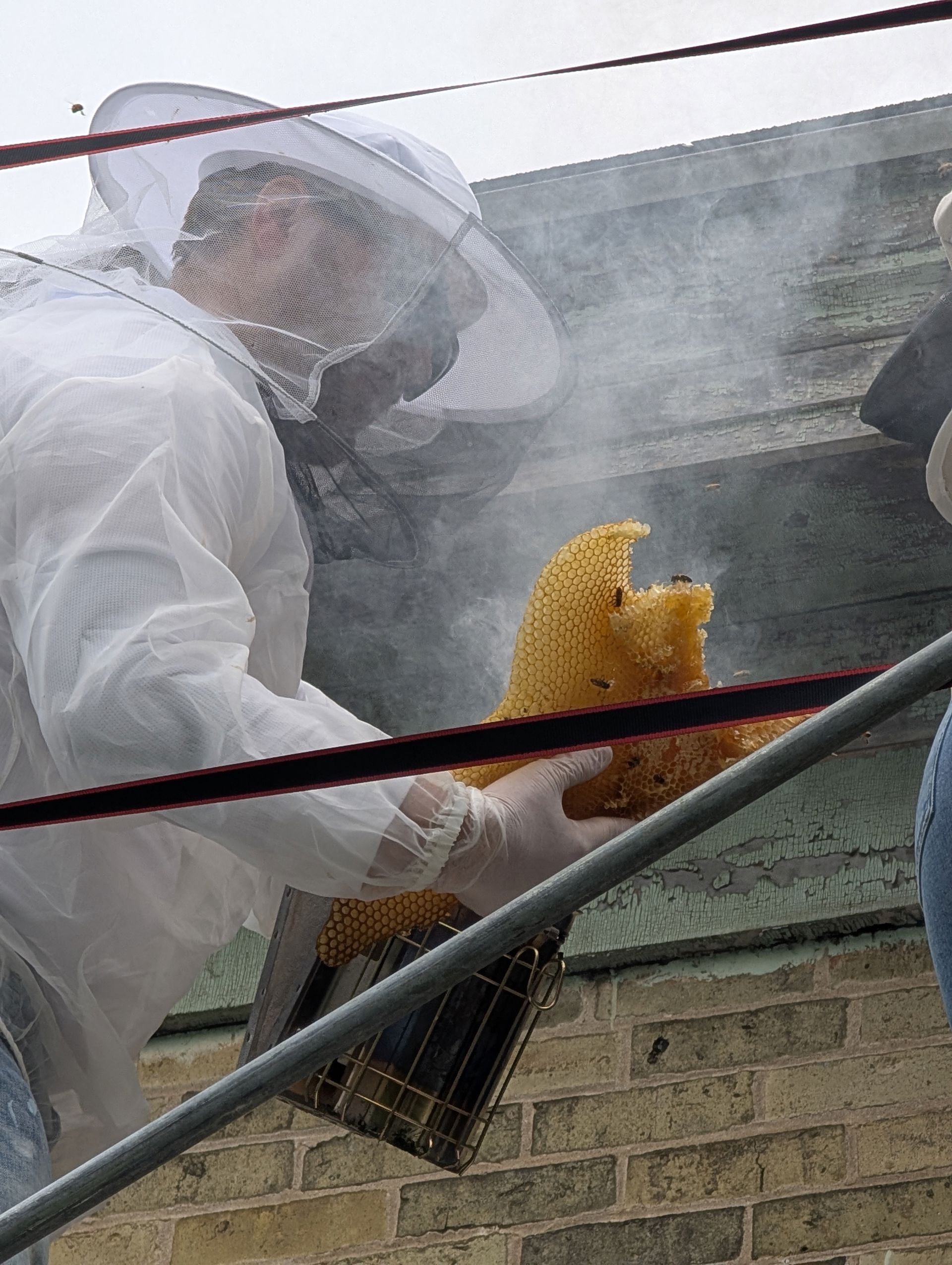Dan removing a hive from someone's eaves